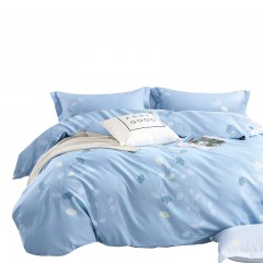 芳恩家纺 TH-Z1018 长棉绒印花四件套 依云 单位：套