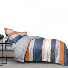 芳恩家纺 TH-Z1012 简约全棉四件套 倾城时光 简装 单位：套