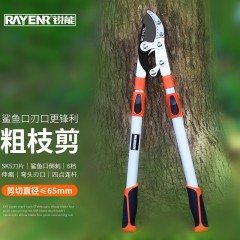 锐能 伸缩粗枝剪大力剪省力剪花枝剪园艺粗枝大剪刀果树园林剪刀501119 单位：把