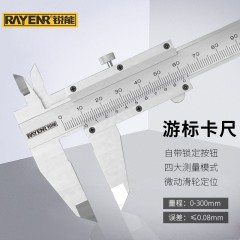 锐能游标卡尺高精度专业级机械式游标卡尺 内径外径卡尺300mm NR0160 单位：把
