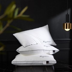 伊伊爱 谊家云绒高枕 ZXBHJC2000041 48*74cm