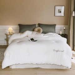 伊伊爱 绣花保暖冬被 Z01900042/220*240cm 总重8.4斤